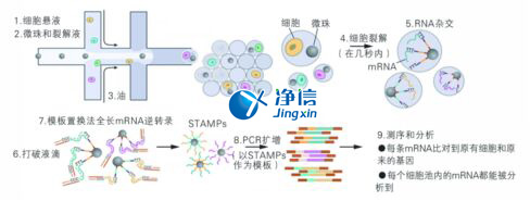 中國(guó)人自己的單細(xì)胞測(cè)序儀來了！